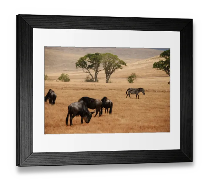 Framed Print : Ngorongoro Crater, Tanzania Framed Print : Ngorongoro Crater, Tanzania