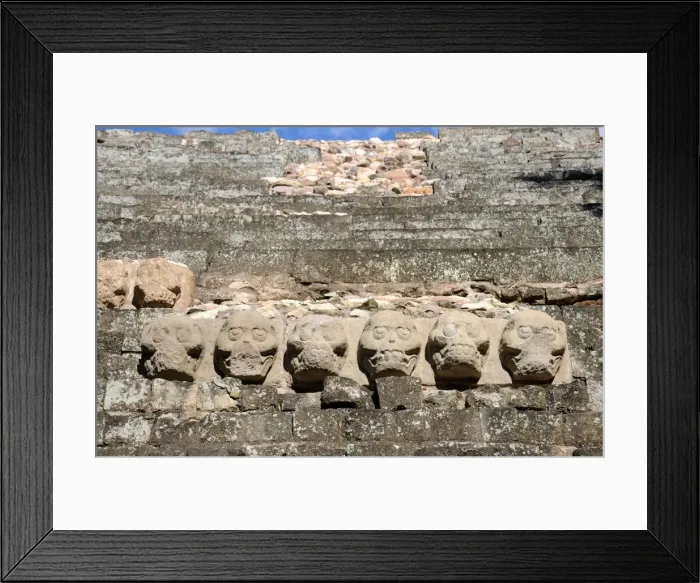 Framed Print : Ancient Mayan Skull Carvings on Copan Pyramid Framed Print : Ancient Mayan Skull Carvings on Copan Pyramid
