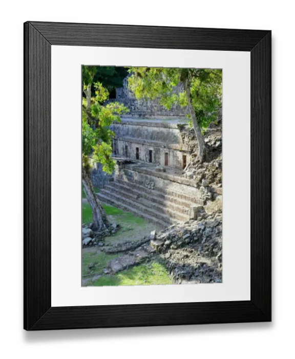 Framed Print : Overgrown Ancient Mayan Ruins at Copan, Honduras Framed Print : Overgrown Ancient Mayan Ruins at Copan, Honduras
