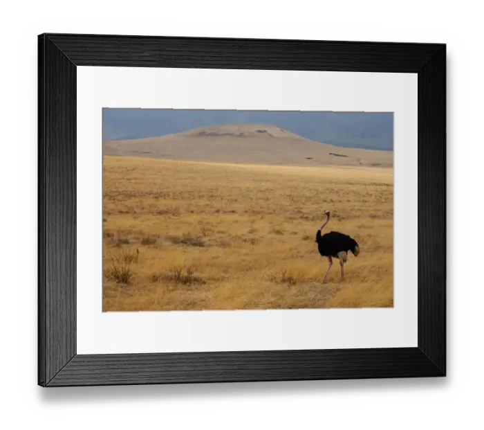 Framed Print : Ngorongoro Crater, Tanzania Framed Print : Ngorongoro Crater, Tanzania