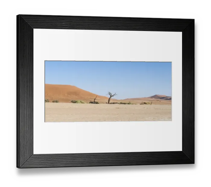 Framed Print : Salt and clay pan, Deadvlei, Sossusvlei, Namib Desert, Namibia