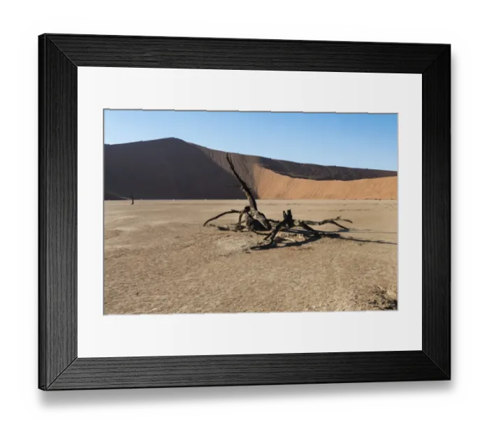Framed Print : Dead tree in the salt and clay pan, Deadvlei, Sossusvlei, Namib Desert, Namibia Framed Print : Dead tree in the salt and clay pan, Deadvlei, Sossusvlei, Namib Desert, Namibia