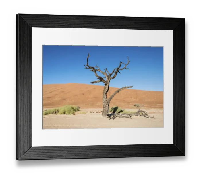 Framed Print : Dead tree in the salt and clay pan, Deadvlei, Sossusvlei, Namib Desert, Namibia Framed Print : Dead tree in the salt and clay pan, Deadvlei, Sossusvlei, Namib Desert, Namibia