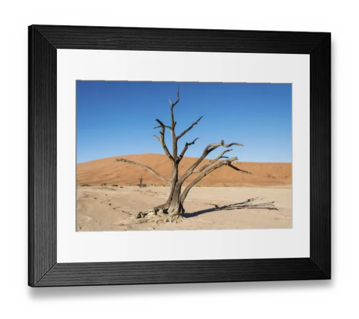 Framed Print : Dead tree in a salt and clay pan, Deadvlei, Sossusvlei, Namib Desert, Namibia Framed Print : Dead tree in a salt and clay pan, Deadvlei, Sossusvlei, Namib Desert, Namibia