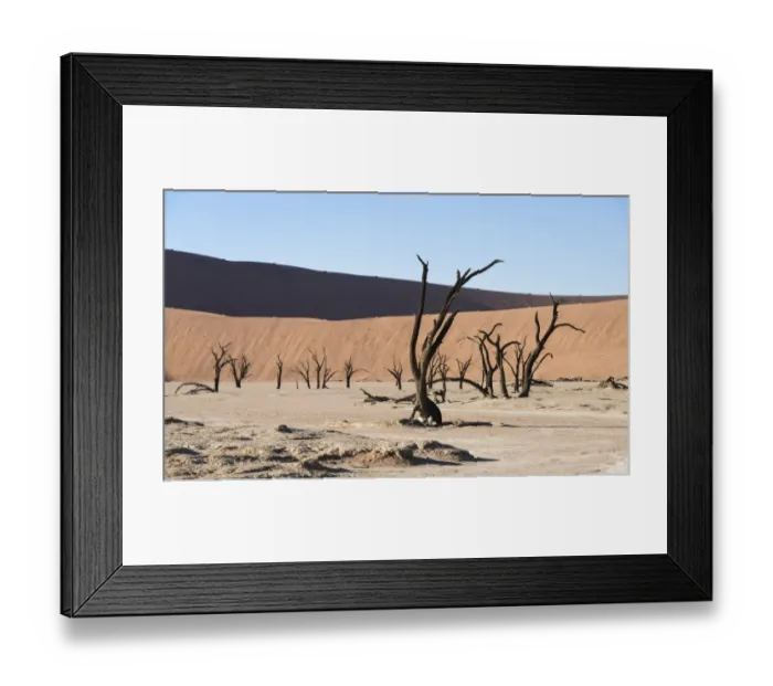 Framed Print : Dead trees in dried-up salt and clay pan, Dead Pan, Sossusvlei, UNESCO World Heritage Site, Namib Desert, Namibia Framed Print : Dead trees in dried-up salt and clay pan, Dead Pan, Sossusvlei, UNESCO World Heritage Site, Namib Desert, Namibia