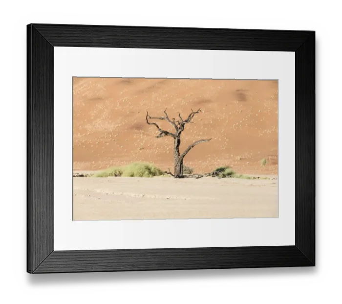 Framed Print : Dead tree in salt and clay pan, Dead Pan, Sossusvlei, UNESCO World Heritage Site, Namib Desert, Namibia Framed Print : Dead tree in salt and clay pan, Dead Pan, Sossusvlei, UNESCO World Heritage Site, Namib Desert, Namibia