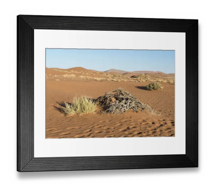 Framed Print : Dry plants, Sossusvlei, UNESCO World Heritage Site, Namib Desert, Namibia Framed Print : Dry plants, Sossusvlei, UNESCO World Heritage Site, Namib Desert, Namibia