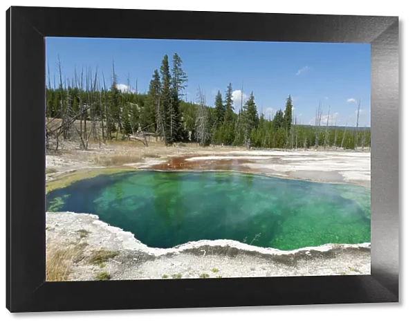 Hot spring with green water, Abyss Pool, West Thumb Geyser Basin, Yellowstone National Park, Wyoming, Western United States, United States of America, North America