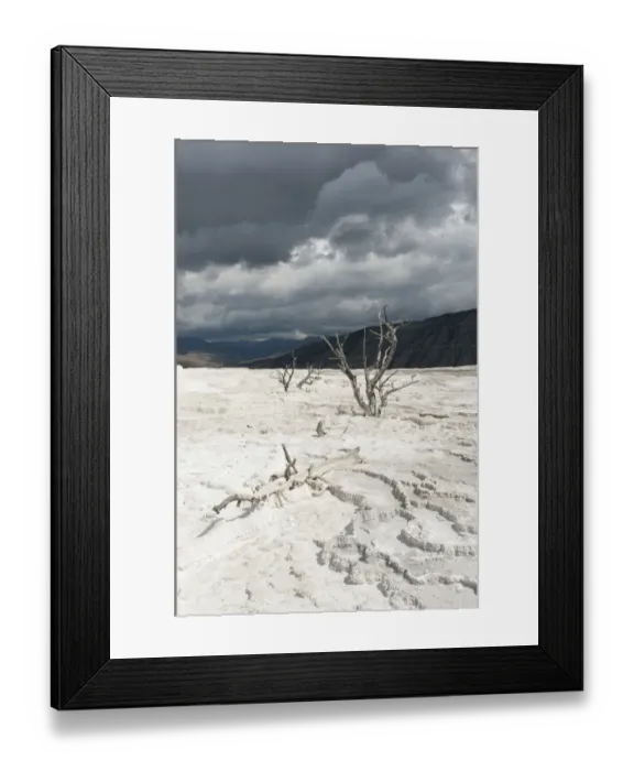Framed Print : Geomorphology, limestone sinter terraces, dead trees, Canary Spring, Main Terrace, Mammoth Hot Springs, Yellowstone National Park, Wyoming, USA, United States of America, North America Framed Print : Geomorphology, limestone sinter terraces, dead trees, Canary Spring, Main Terrace, Mammoth Hot Springs, Yellowstone National Park, Wyoming, USA, United States of America, North America