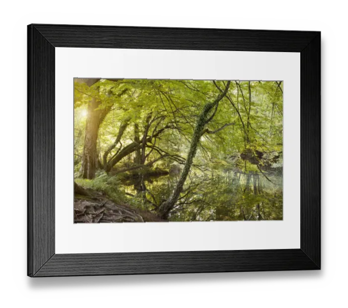 Framed Print : Plitvice Lakes National Park Framed Print : Plitvice Lakes National Park
