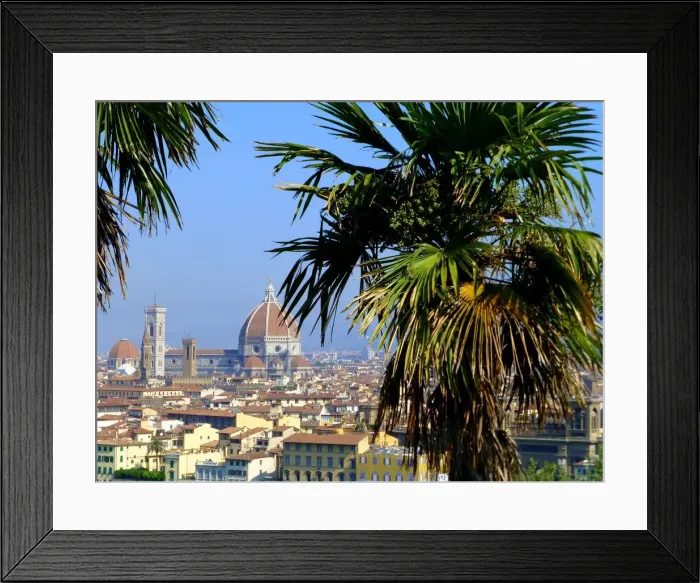 Framed Print : View on Florence and the cathedral, Italy Framed Print : View on Florence and the cathedral, Italy