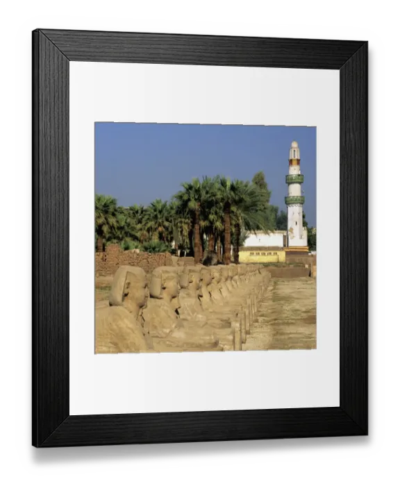 Framed Print : Temple of Luxor Sphinxes and Mosque, Luxor, Egypt