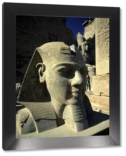 Temple of Luxor, Ramesses II Statue, Luxor, Egypt