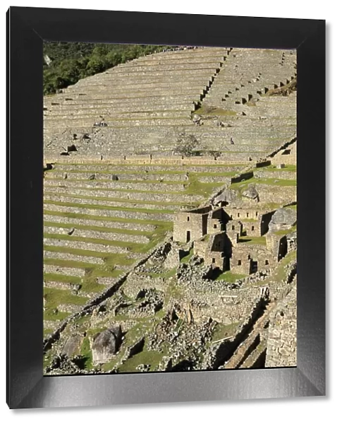 Terraces, Machu Picchu