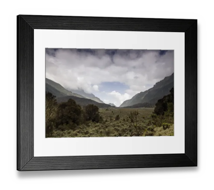 Framed Print : Bigo Bog, Rwenzori Mountains, Uganda Framed Print : Bigo Bog, Rwenzori Mountains, Uganda