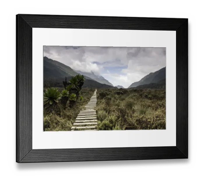 Framed Print : Bigo Bog, Rwenzori Mountains, Uganda