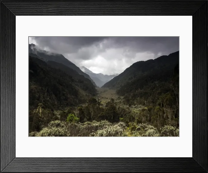 Framed Print : Bigo Bog, Rwenzori Mountains, Uganda Framed Print : Bigo Bog, Rwenzori Mountains, Uganda