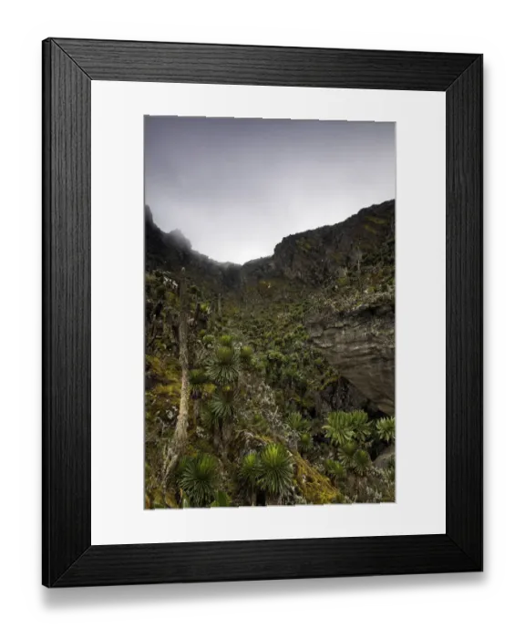 Framed Print : Rwenzori Mountains, Uganda Framed Print : Rwenzori Mountains, Uganda