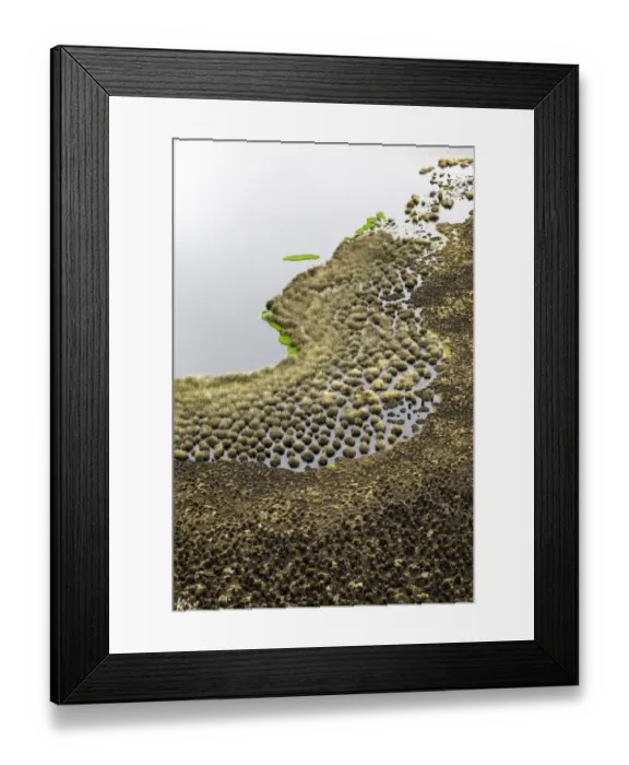 Framed Print : Rwenzori Mountains, Uganda Framed Print : Rwenzori Mountains, Uganda