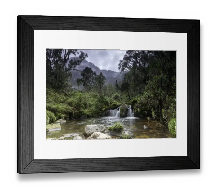 Framed Print : Rwenzori Mountains National Park, Uganda Framed Print : Rwenzori Mountains National Park, Uganda