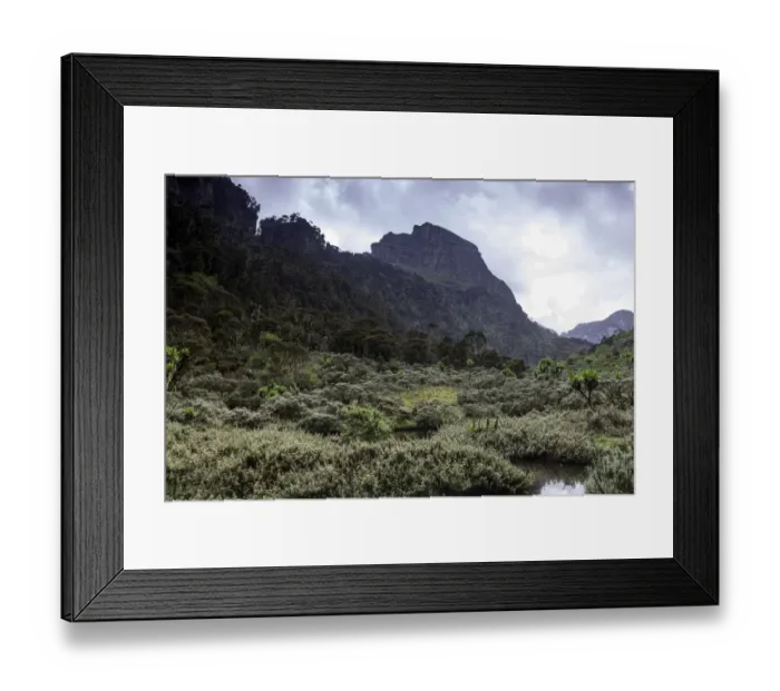Framed Print : Rwenzori Mountain National Park