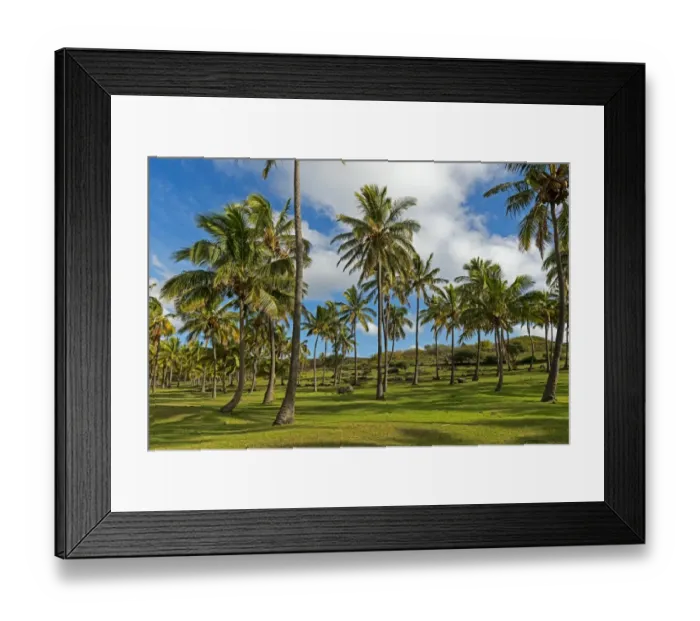 Framed Print : Palm trees, beach of Anakena, Rapa Nui, Easter Island, Chile Framed Print : Palm trees, beach of Anakena, Rapa Nui, Easter Island, Chile