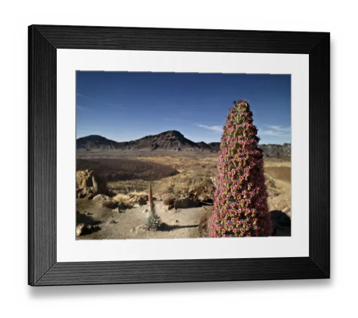Framed Print : Volcano. Dormant volcano Framed Print : Volcano. Dormant volcano