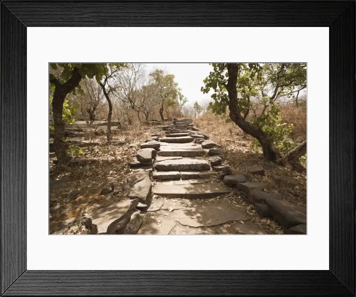 Framed Print : Pathway at Buddhist pilgrimage site, Sanchi, Madhya Pradesh, India Framed Print : Pathway at Buddhist pilgrimage site, Sanchi, Madhya Pradesh, India