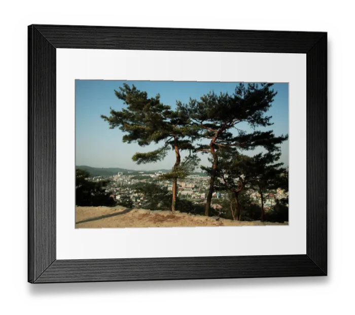 Framed Print : Pine trees, Hwaseong Fortress, World Heritage Framed Print : Pine trees, Hwaseong Fortress, World Heritage