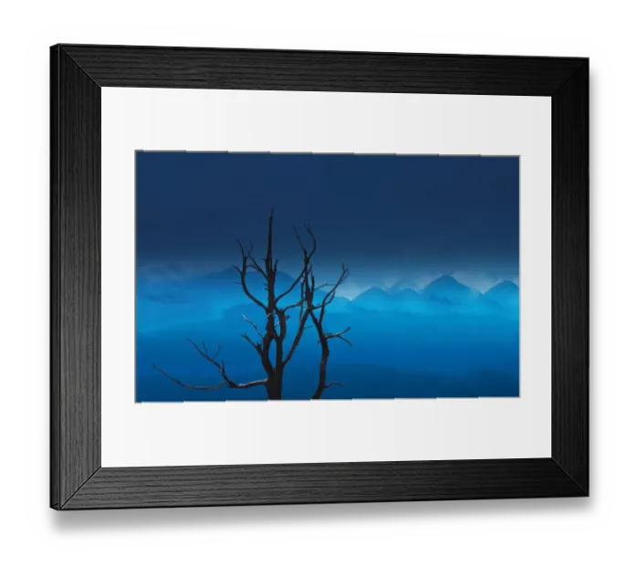 Framed Print : Nilgiris dreams Framed Print : Nilgiris dreams