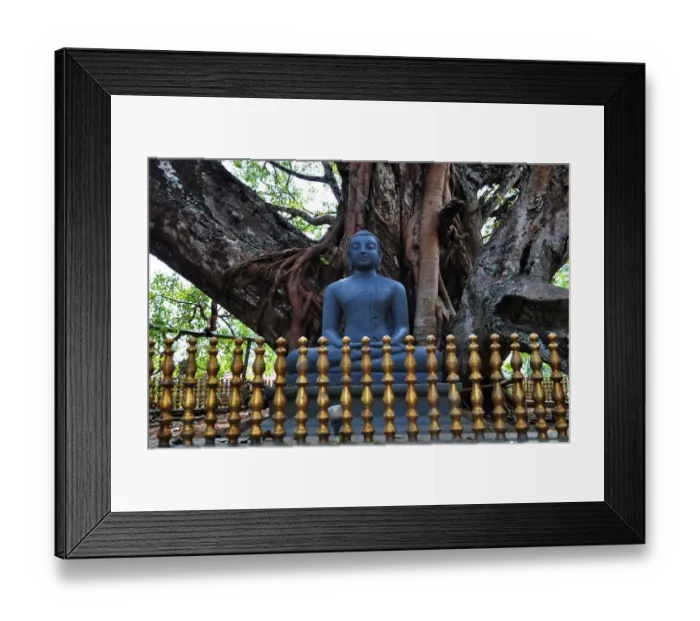 Framed Print : buddha statue Framed Print : buddha statue