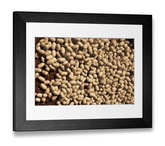 Framed Print : Silk production
