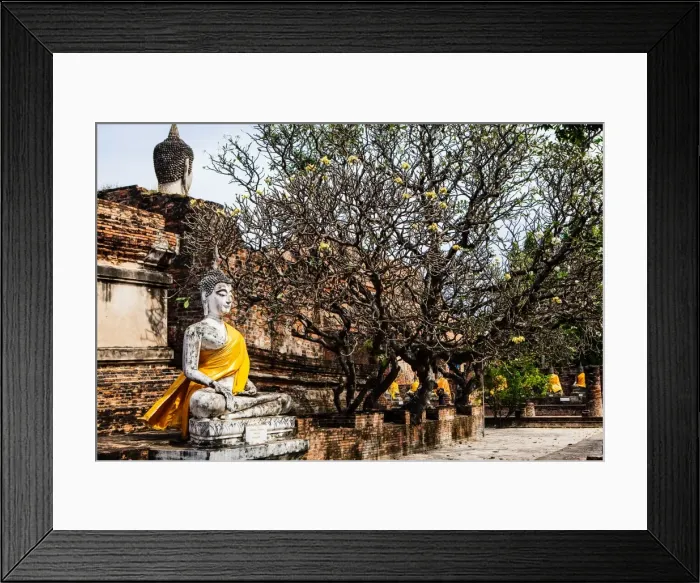 Framed Print : Buddhaa at Ma Ha That temple, Ayutthaya Framed Print : Buddhaa at Ma Ha That temple, Ayutthaya