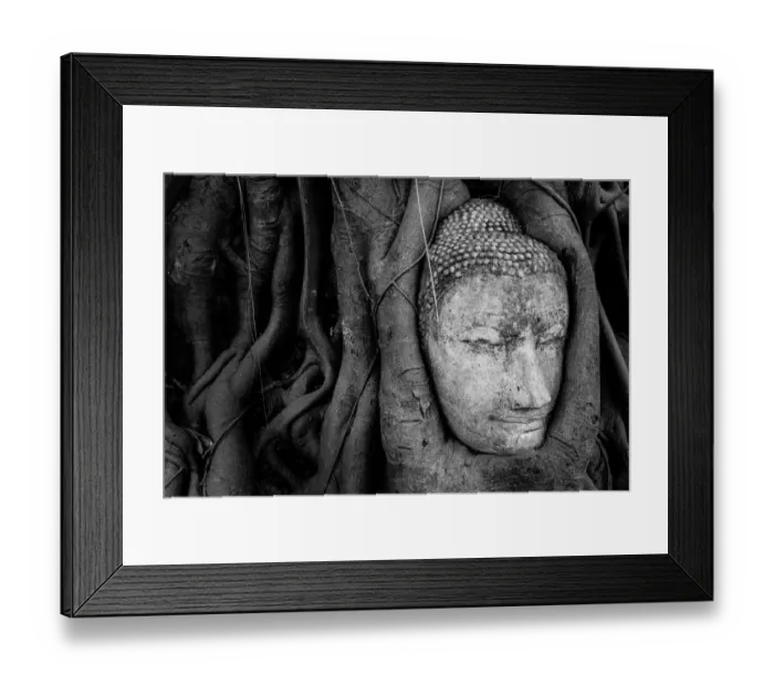 Framed Print : Buddha Head