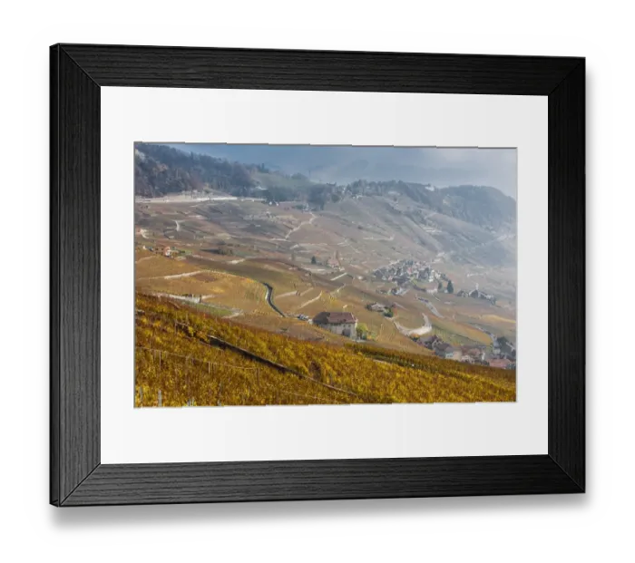 Framed Print : Autumn colors Framed Print : Autumn colors