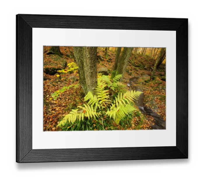 Framed Print : The Ninglinspo valley in autumn Framed Print : The Ninglinspo valley in autumn