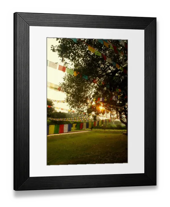 Framed Print : Prayer flags at sunset in Lumbini Framed Print : Prayer flags at sunset in Lumbini