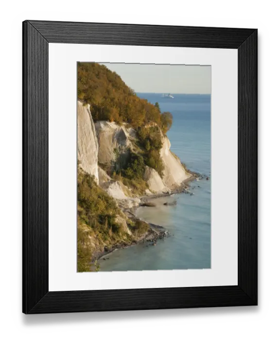 Framed Print : Baltic Sea, chalk cliffs and beech forest, Common beech trees -Fagus sylvatica-, in autumn, Jasmund National Park, Mecklenburg-Vorpommern, Germany Framed Print : Baltic Sea, chalk cliffs and beech forest, Common beech trees -Fagus sylvatica-, in autumn, Jasmund National Park, Mecklenburg-Vorpommern, Germany