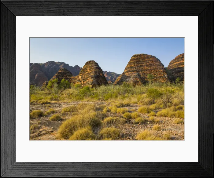 Framed Print : Bungle Bungles, beehive-shaped sandstone towers, Purnululu National Park, UNESCO World Heritage Site, Eastern Kimberleys, Western Australia Framed Print : Bungle Bungles, beehive-shaped sandstone towers, Purnululu National Park, UNESCO World Heritage Site, Eastern Kimberleys, Western Australia