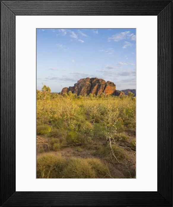 Framed Print : Bungle Bungles, beehive-shaped sandstone towers, Purnululu National Park, UNESCO World Heritage Site, Eastern Kimberleys, Western Australia Framed Print : Bungle Bungles, beehive-shaped sandstone towers, Purnululu National Park, UNESCO World Heritage Site, Eastern Kimberleys, Western Australia