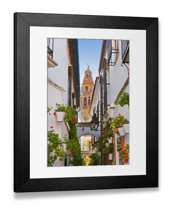 Framed Print : Flowers street at Cordoba Spain Framed Print : Flowers street at Cordoba Spain