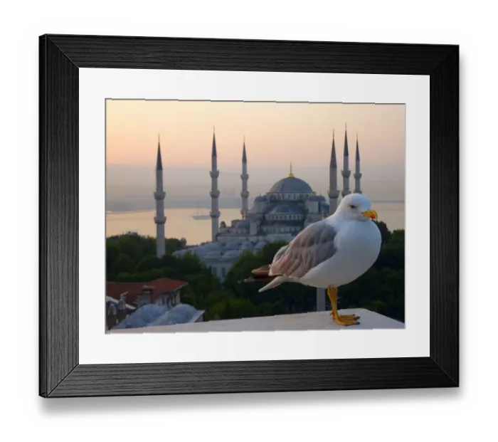 Framed Print : Sultanahmet Mosque (Blue Mosque) with seagull Framed Print : Sultanahmet Mosque (Blue Mosque) with seagull