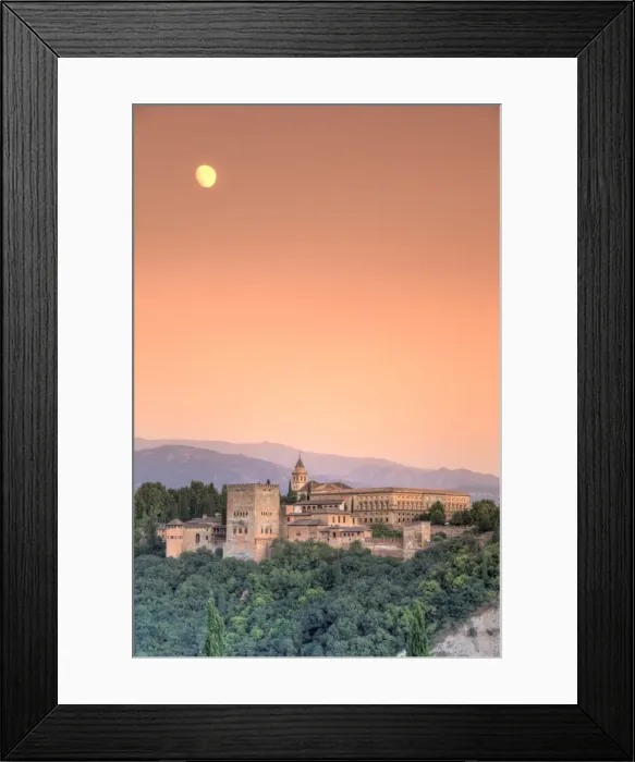 Framed Print : Alhambra Palace complex, Granada