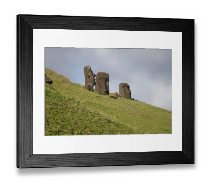 Framed Print : Moai at Moai Quarry Framed Print : Moai at Moai Quarry
