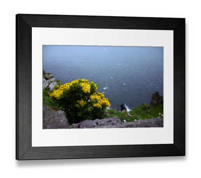Framed Print : Monastic site of Blind Mans Cove Framed Print : Monastic site of Blind Mans Cove
