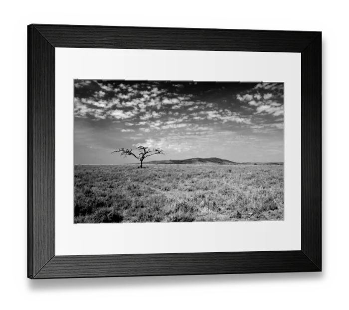 Framed Print : Serengeti National Park, UNESCO world heritage site, Tanzania, Africa Framed Print : Serengeti National Park, UNESCO world heritage site, Tanzania, Africa