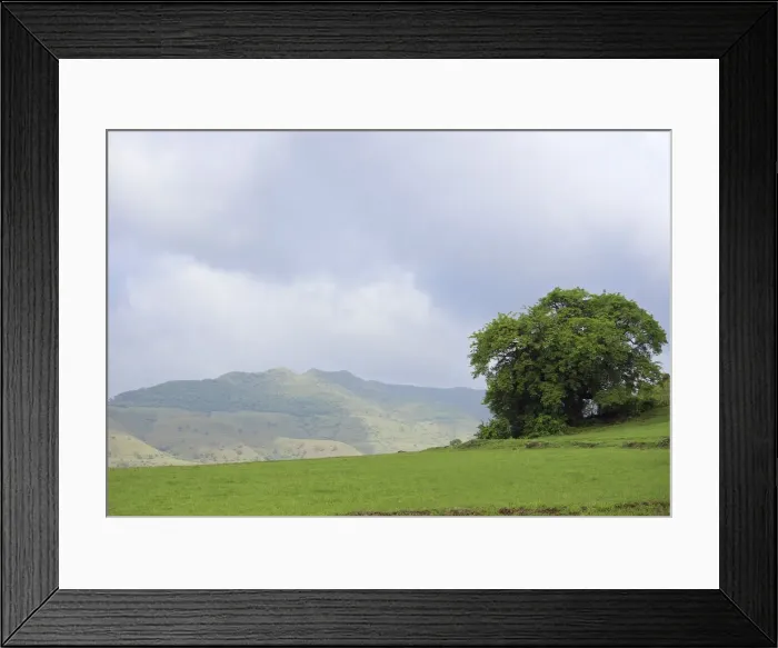 Framed Print : Mountain and tree Framed Print : Mountain and tree