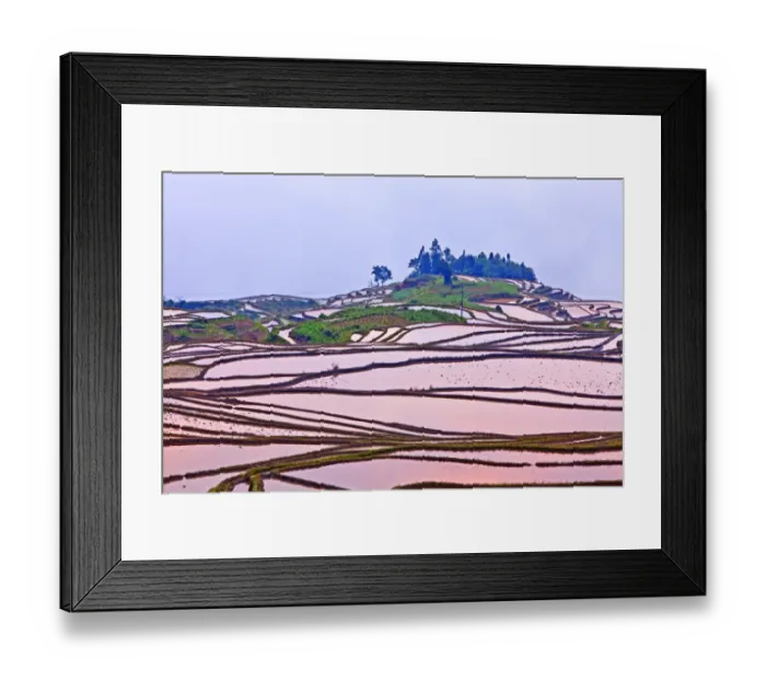 Framed Print : Rice terraces at sunset, Yuanyang, Yunnan, China Framed Print : Rice terraces at sunset, Yuanyang, Yunnan, China