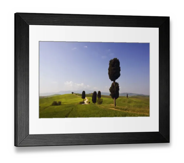 Framed Print : Cypresses -Cupressus- and fields at Terrapille, Pienza, Val dOrcia, Tuscany, Italy, Europe Framed Print : Cypresses -Cupressus- and fields at Terrapille, Pienza, Val dOrcia, Tuscany, Italy, Europe