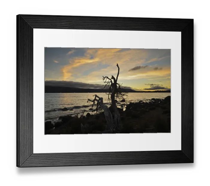 Framed Print : Lake St Clair shoreline Framed Print : Lake St Clair shoreline